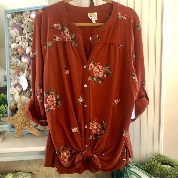NWT Anthropologie Boho Rust Embroidered Top 2X - Picture 1 of 9